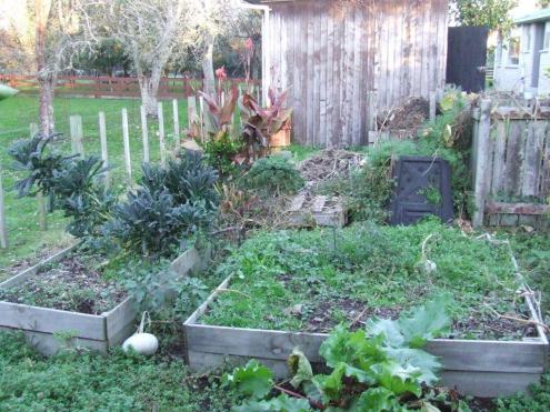 Compost Corner and the old vege beds, not long after we moved into the house. So much work...