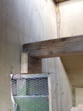 The small coop got nestbox dividers removed and two new, removable roosts made.