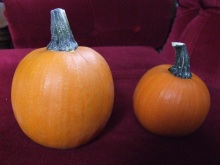 My selections for Most Perfect Pumpkin. The chosen, 2nd place one is the one on the left.