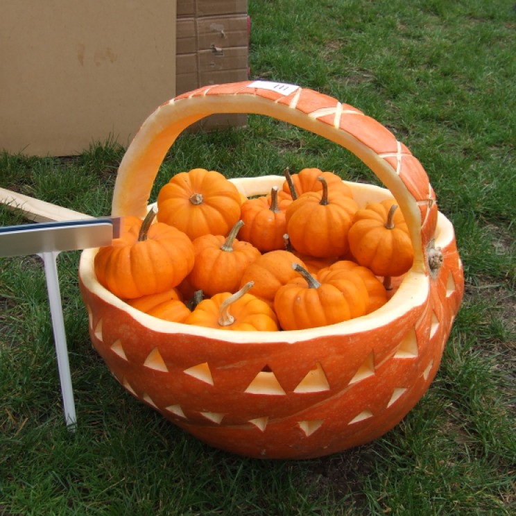 A carved pumpkin basket of pumpkins.