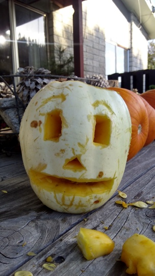 At my prompting, The Husband and The Little Fulla had great fun carving out and playing with this immature Crown pumpkin. It didn't make it to the carnival, for some reason, but it was all part of the pumpkin experience.